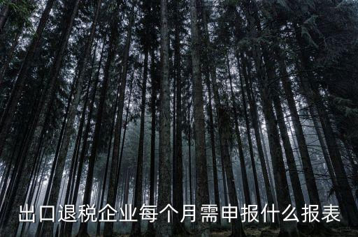 出口退稅每月需做什么申報，外貿(mào)企業(yè)第一次申報出口退稅需要準(zhǔn)備哪些資料