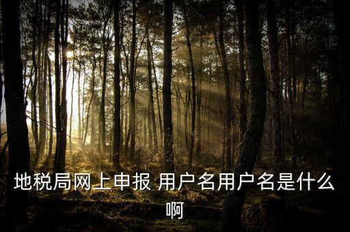 地稅局網(wǎng)上申報(bào) 用戶名用戶名是什么啊