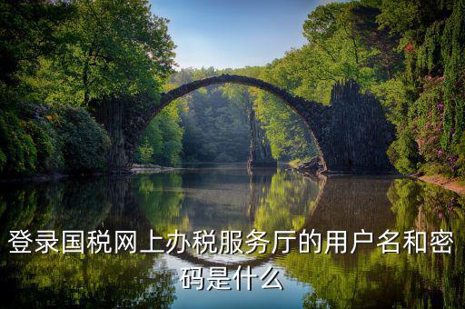 國稅登錄密碼是什么密碼，國稅第一次網上申報的登陸密碼是什么