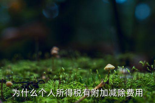個(gè)稅減除費(fèi)用是什么，個(gè)人所得稅費(fèi)用扣除什么意思