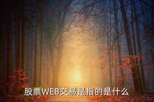 e稅通是什么，微軟認證是什么意思