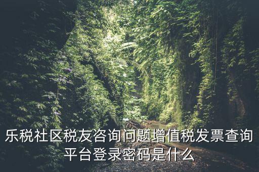 發(fā)票認(rèn)證平臺(tái)登陸密碼是什么，國(guó)稅局發(fā)票軟件里用戶代碼和密碼是什么