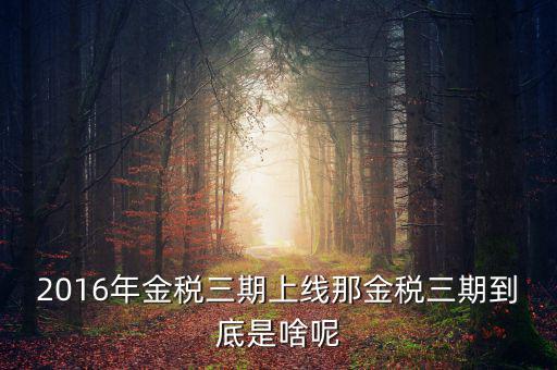 2016年金稅三期上線(xiàn)那金稅三期到底是啥呢