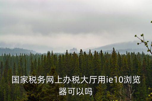 國(guó)稅網(wǎng)上申報(bào)用什么瀏覽器，山東國(guó)稅網(wǎng)上申報(bào)系統(tǒng)需要什么瀏覽器