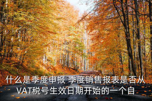 什么是季度申報(bào)表，有關(guān)企業(yè)申報(bào)的季度報(bào)表