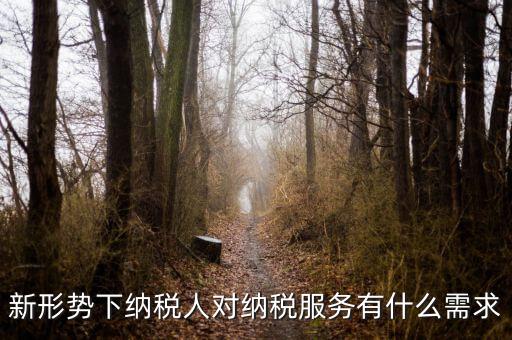 納稅服務(wù)的要求是什么，新形勢下納稅人對納稅服務(wù)有什么需求