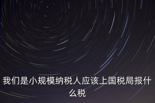 小規(guī)模要報什么稅，我想問問小規(guī)模納稅人報稅需要報些什么