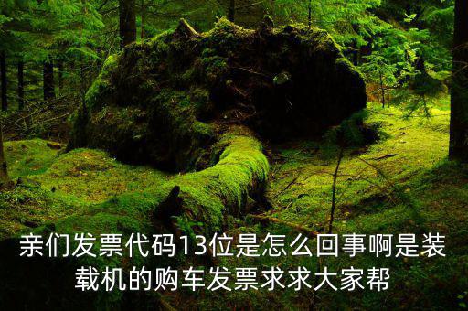 13的發(fā)票是什么發(fā)票，定額發(fā)票代碼上寫的是13 還可以用嗎