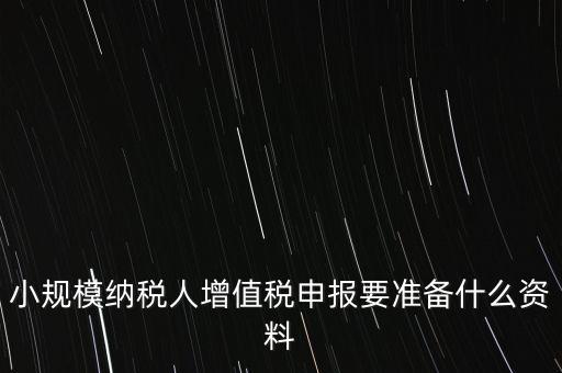 小規(guī)模報稅需要帶什么，小規(guī)模納稅人增值稅申報要準(zhǔn)備什么資料
