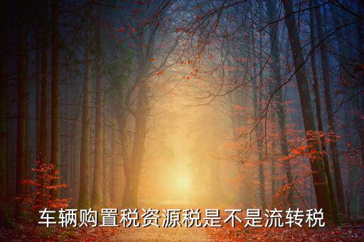 資源稅改革是什么，資源稅是地稅還是國稅