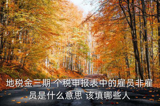 金稅四期是什么意思，地稅金三期 個(gè)稅申報(bào)表中的雇員非雇員是什么意思 該填哪些人