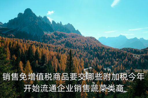 免稅商品銷售要交什么稅，銷售免增值稅商品要交哪些附加稅今年開始流通企業(yè)銷售蔬菜類商