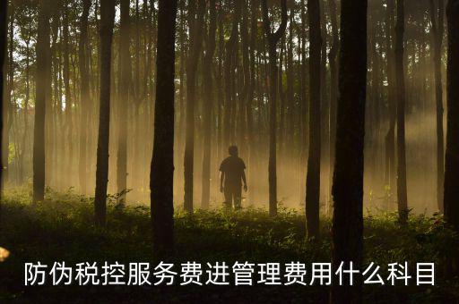 防偽稅控服務費是什么意思，繳納電子鑰匙的年費是防偽稅控服務費嗎