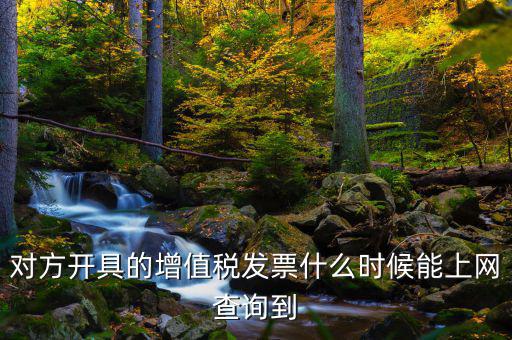 對(duì)方開(kāi)具的增值稅發(fā)票什么時(shí)候能上網(wǎng)查詢到