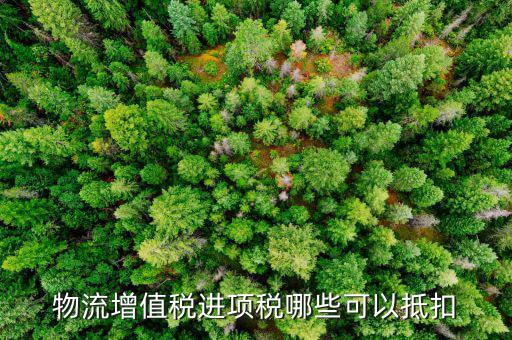 物流增值稅進(jìn)項稅哪些可以抵扣