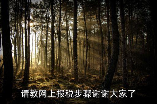 請(qǐng)教網(wǎng)上報(bào)稅步驟謝謝大家了