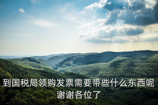 到國稅局領購發(fā)票需要帶些什么東西呢謝謝各位了