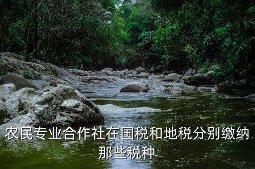 稅務(wù)局向合作社收取什么稅，農(nóng)民專業(yè)合作社在國(guó)稅和地稅分別繳納那些稅種