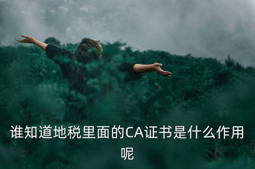 稅務企業(yè)ca登錄是什么意思，網上報稅CA驗證系統是甚么