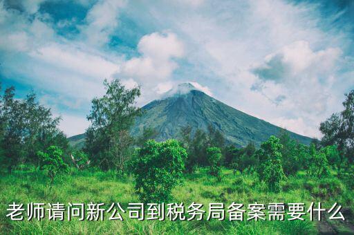 稅務(wù)報備需要什么材料，稅務(wù)備案需要哪些資料
