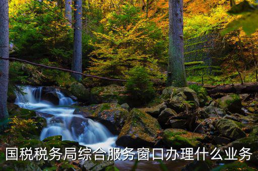 國稅大廳辦理什么業(yè)務(wù)，辦稅大廳都做些什么事