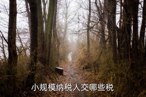 小規(guī)模都交什么稅，小規(guī)模納稅人要交什么稅