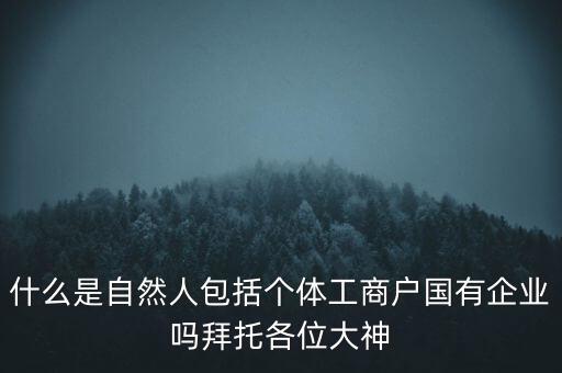 什么是稅務(wù)中的自然人，會(huì)計(jì)中自然人所指的是那種人
