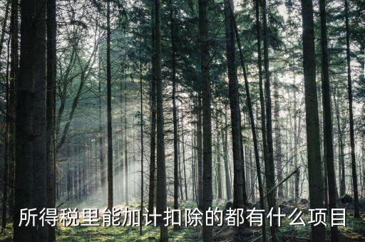 什么企業(yè)加計(jì)扣除，人員工資加計(jì)扣除政策是什么意思