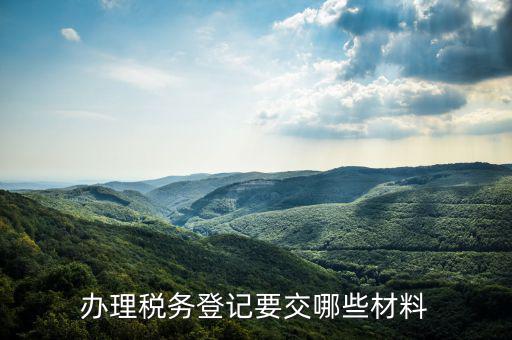 辦理稅務(wù)登記要交哪些材料