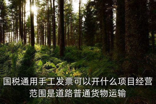 國(guó)稅通用手工發(fā)票可以開(kāi)什么項(xiàng)目經(jīng)營(yíng)范圍是道路普通貨物運(yùn)輸