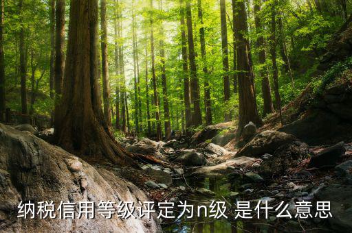 國稅信用級別是什么，納稅信用等級評定為n級 是什么意思