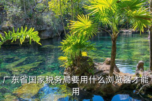 報(bào)稅要什么瀏覽器，山東國(guó)稅網(wǎng)上申報(bào)系統(tǒng)需要什么瀏覽器