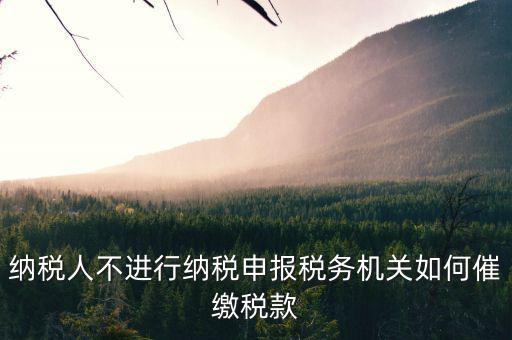 納稅人不進行納稅申報稅務機關如何催繳稅款