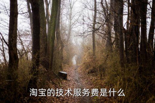 技術(shù)咨詢服務(wù)費(fèi)指什么，醫(yī)藥行業(yè)技術(shù)服務(wù)費(fèi)包含什么內(nèi)容