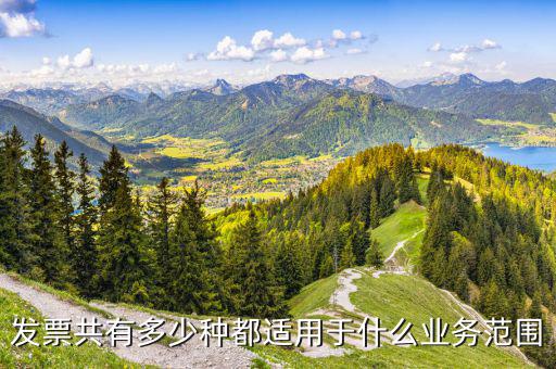 什么業(yè)務(wù)應(yīng)該專(zhuān)業(yè)發(fā)票，單位收費(fèi)開(kāi)票1定要專(zhuān)業(yè)的