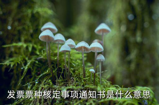 票種核定是什么，哪些情況下要進(jìn)行國(guó)稅票種核定