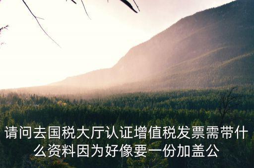 請(qǐng)問去國(guó)稅大廳認(rèn)證增值稅發(fā)票需帶什么資料因?yàn)楹孟褚环菁由w公