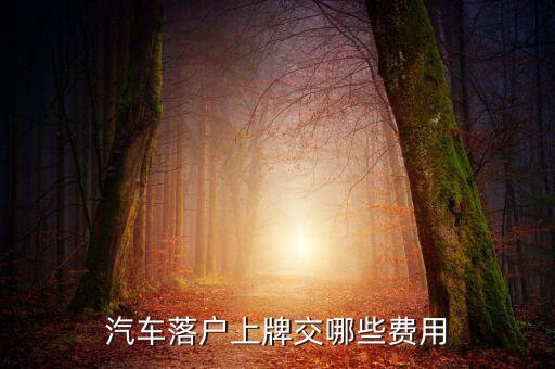 新車上牌要交什么稅，汽車落戶上牌交哪些費(fèi)用