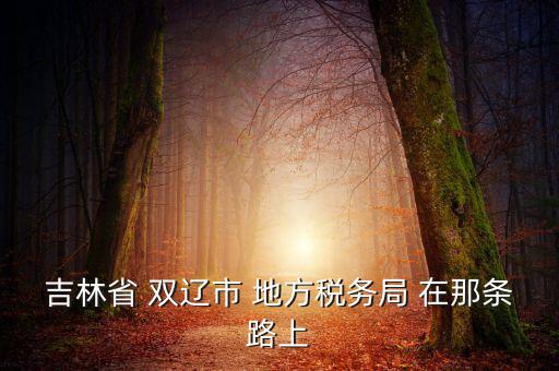 吉林市地稅局在什么位置，吉林市地方稅務(wù)局第二直屬稅務(wù)局在哪個區(qū)