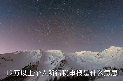 12萬以上個(gè)人所得稅申報(bào)是什么意思