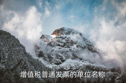 開票單位是什么，開發(fā)票一般都是什么單位開比較多