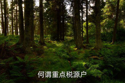 為什么要填重點(diǎn)稅源啊，重點(diǎn)稅源的介紹