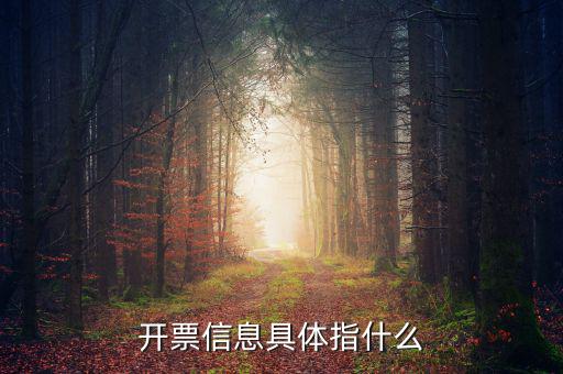 什么是開票信息，word開票信息是什么意思