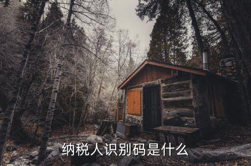 稅務(wù)識(shí)別碼有什么用，納稅人識(shí)別碼是什么