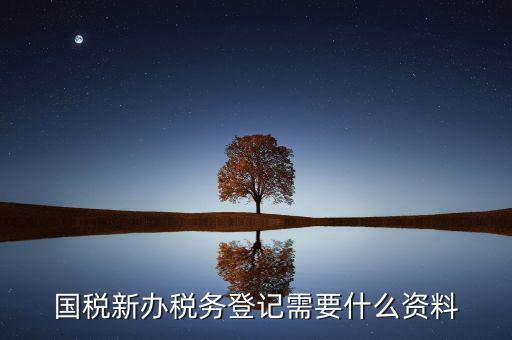 辦理國(guó)稅都需要帶什么，國(guó)稅登記需要帶什么資料