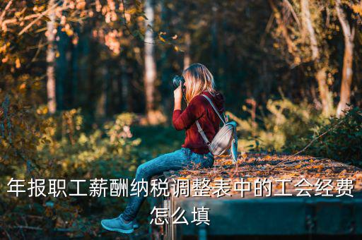 工會經費減除項填什么，網上報稅時又多了一項工會經費怎樣填寫計算