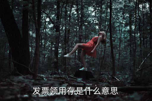 發(fā)票領用存是什么意思