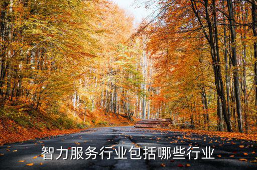 涉稅專業(yè)服務(wù)機構(gòu)包括什么，智力服務(wù)行業(yè)包括哪些行業(yè)