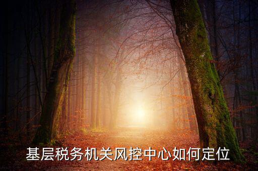 基層稅務(wù)機關(guān)風(fēng)控中心如何定位
