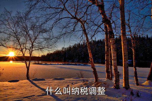 什么是納稅調(diào)整減少額，納稅調(diào)整增加額和減少額都包括哪些項(xiàng)目